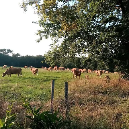 Le Pinada, Entre Saint Emilion Et Bergerac Holiday home
