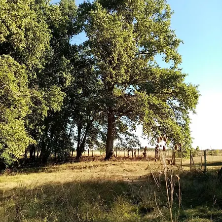 Le Pinada, Entre Saint Emilion Et Bergerac Montcaret